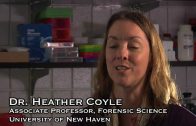 Professor-Creates-Marijuana-DNA-Database-at-University-of-New-Haven