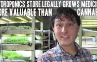 Hydroponics Store Legally Grows Medicine More Valuable than Weed aka Cannabis