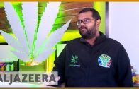 🇿🇦 Africa’s first medical cannabis dispensary opens in Durban | Al Jazeera English