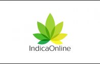 IndicaOnline Cannabis Dispensary Software