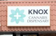 FILE VIDEO: Knox Cannabis Dispensary opens in Fort Walton Beach