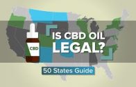Is CBD Oil Legal? (50 States Guide)