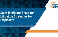 Day with DISA 2018: State Marijuana Laws and Litigation Strategies for Employers