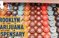 Take a Look Inside Brooklyn’s First Medical Marijuana Dispensary