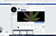 Medical-Marijuana-update-from-Pennsylvania-Department-of-Health-info-from-Luke-Shultz