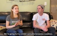 Cooking with Crickets and Cannabis